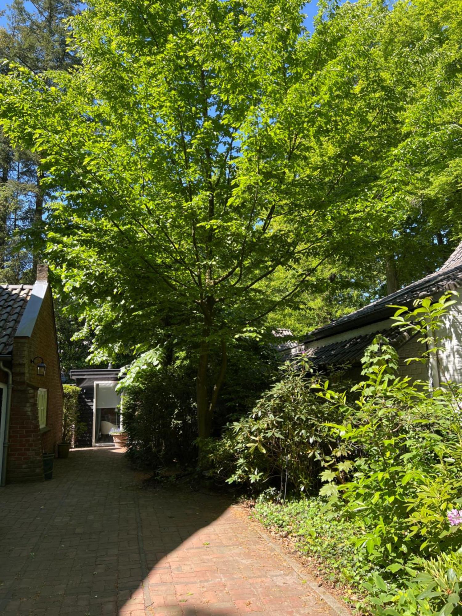De Merel Vught Buitenkant foto