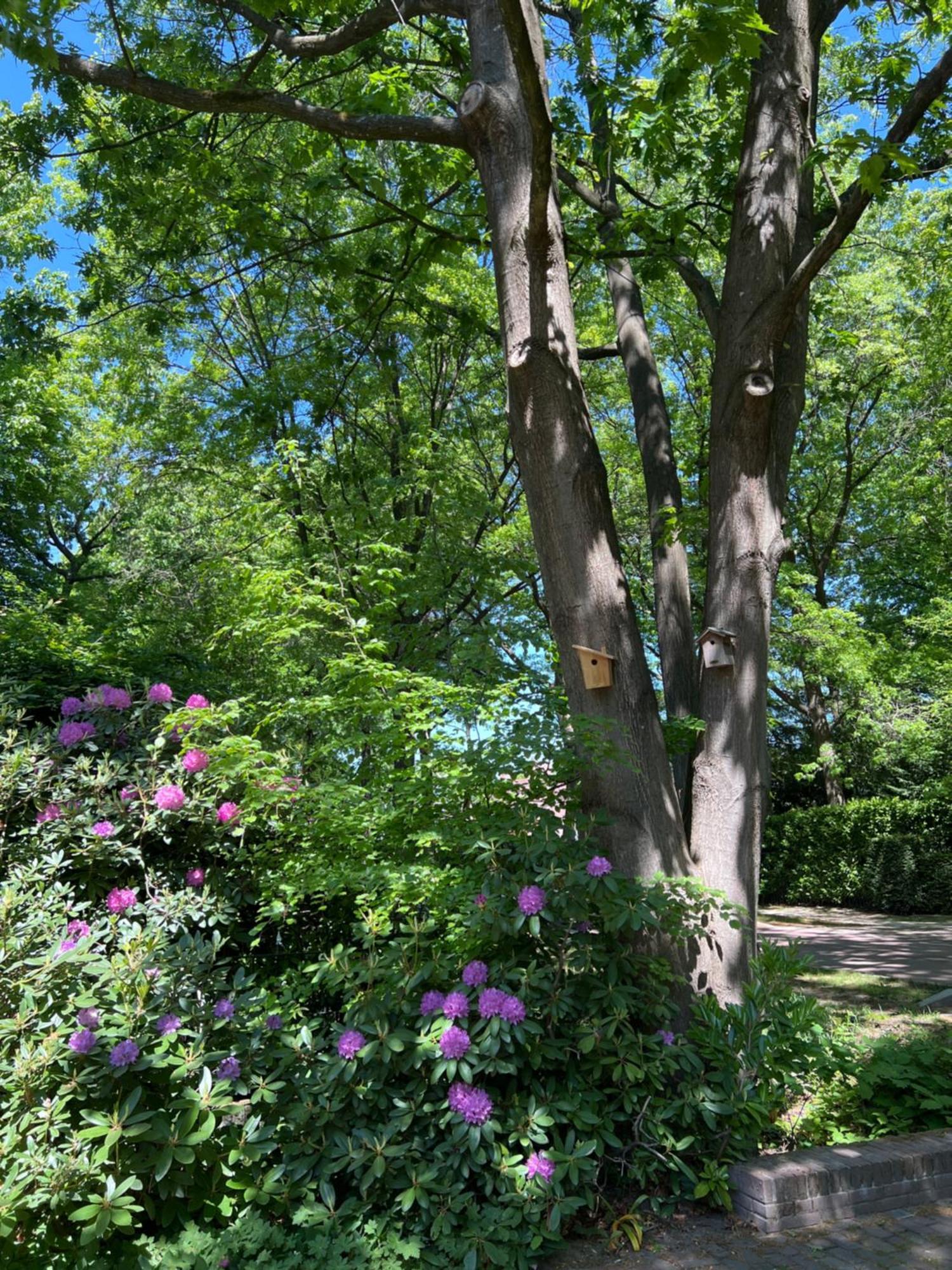De Merel Vught Buitenkant foto