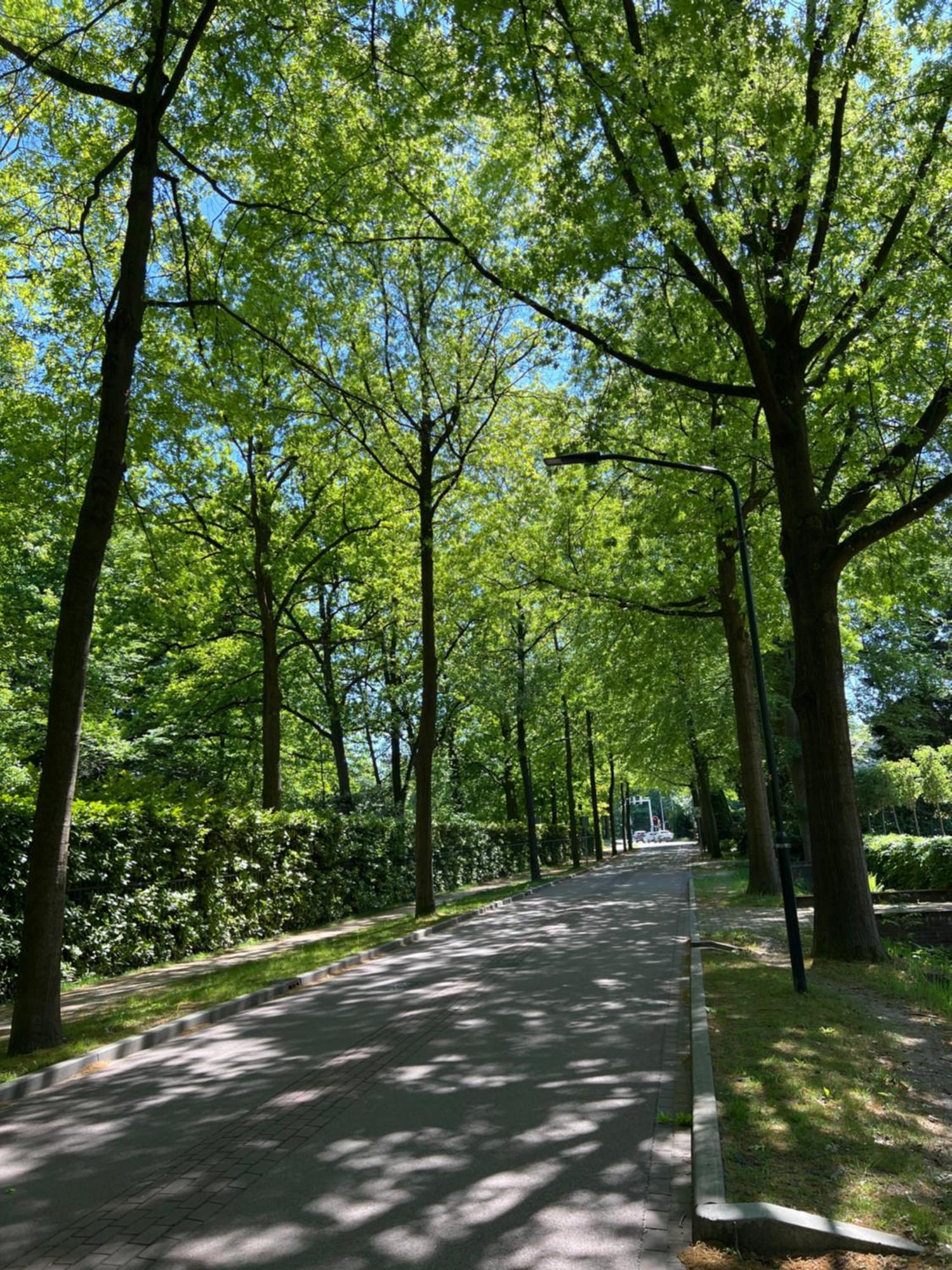 De Merel Vught Buitenkant foto